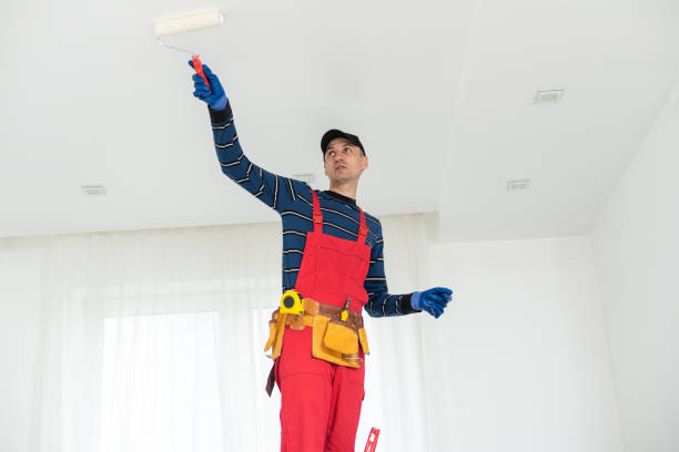 Best Ceiling Drywall Installation  in Cliffside Park, NJ